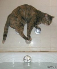 В воду? Не-не-не.