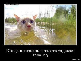Снимки, после просмотра которых ты в воду ни ногой