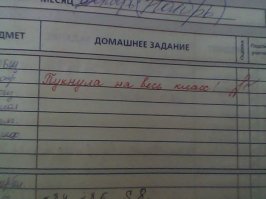 Юмор учителей