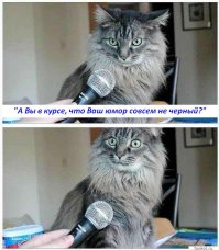 Пару баянчиков:
"То, что кража невесты идёт как-то не по плану, стало понятно, когда по почте пришёл её палец".
"Каждый электрик хоть раз в жизни был проводником".
"Она была отлично сложена! Только левая рука торчала из чемодана".
"Плохая примета - ехать ночью... в лес... в багажнике... в разных сумках..."
"- Алло, Изя дома?
- Изя еще дома, а венки уже вынесли".