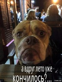 Господи! Где же лето?