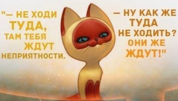Топ-10 самых хулиганских приключений