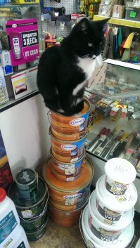 Вчера зашёл в строительный магазин...