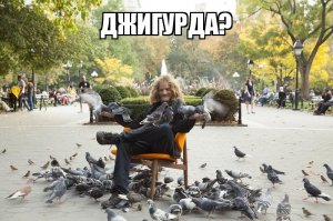 Фотоподборка за 15.06.2016