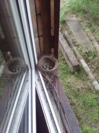 У меня на даче.