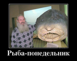 Вот настоящая рыба-понедельник!)))