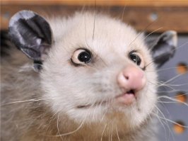 Страх Божий!