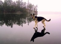 Самое чистое озеро на планете