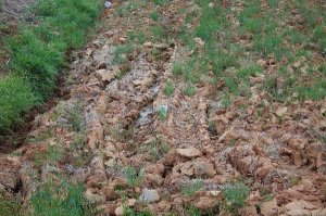 ну кто так маскируется? :)
вот так надо