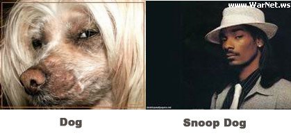 Еще несколько