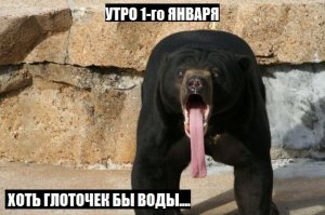 Прикольные картинки на сегодня