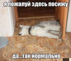 Прикольные картинки на сегодня