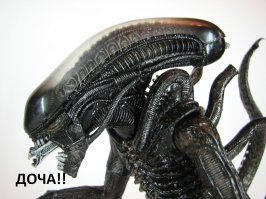 15 самых странных обитателей океана