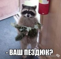 Коты и их писатели