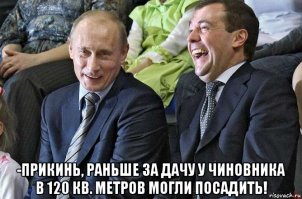 Серый кардинал