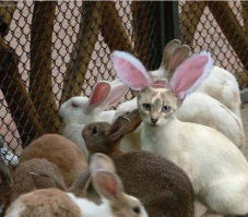 и среди толпы одиночество есть