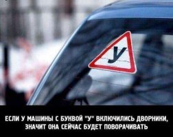 Свежая подборка автоприколов