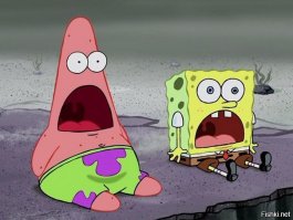 15 самых странных обитателей океана