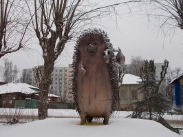 в Иванове такой ежик есть