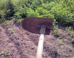 Мастера на все руки, которые вас точно удивят 