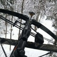 Так ведь мне всё пофигу! Чё, не верите?