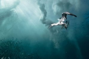 Фотоподборка за 17.06.2016