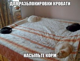 Смешные комментарии и высказывания из социальных сетей 