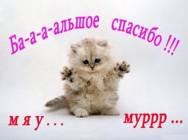 Так ведь мне всё пофигу! Чё, не верите?