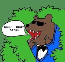 так это было организовано для подростков или для увд? как же без медведя?