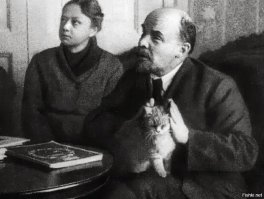 Это правнук кота