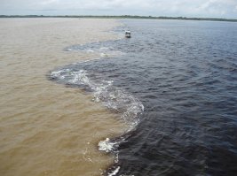 Разделение пресной и солённой воды.