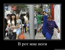 Ноги