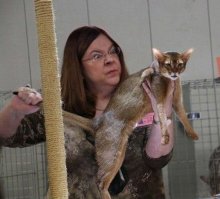 Поипальнику суку за такое