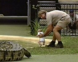 Не хер смотреть зомбоящик!