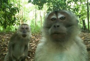 О чем на самом деле говорит язык тела твоего мужчины