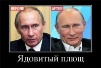 Пользователи Твиттера прикалываются над фото девушки, которой в глаза попал ядовитый плющ