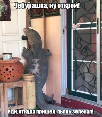 Фотоподборка за 17.06.2016