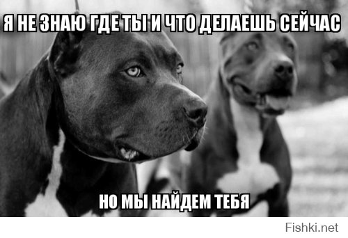 Подборка фото знаменитостей