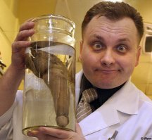 Самые экзотические и необычные алкогольные напитки