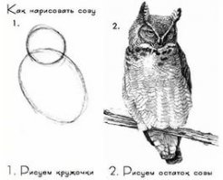 Красота из пластиковых бутылок