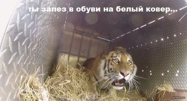 Rolls-Royce представил концепт-кар будущего к 100-летию BMW