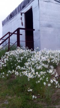 Ванкор, куст 9