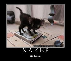 Если ноутбук перегревается, срочно ищите мелочь по карманам