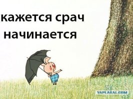 Что люди просят у Бога