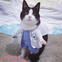 С Днём медицинского работника!!!