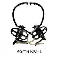 Безумству храбрых поем мы песню