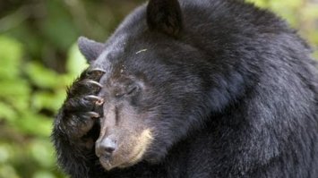 это клуб для брутальных бородатых лесорубов, которые очень хотят понравиться ... э-э-э... другим "брутальным лесорубам"...

"берлога", ..лять, БЕРЛОГА!