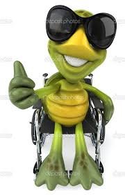 Раненой черепахе соорудили протез, и она стала быстрее всех