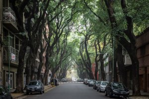 Блин, у нас во Владивостоке в 90-е было почти также... а теперь, суки, все деревья посрубали на центральных улицах...