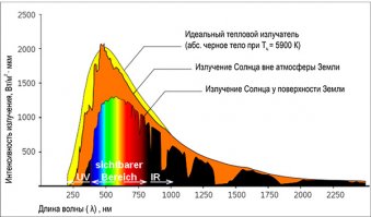 Почему трава зелёная?